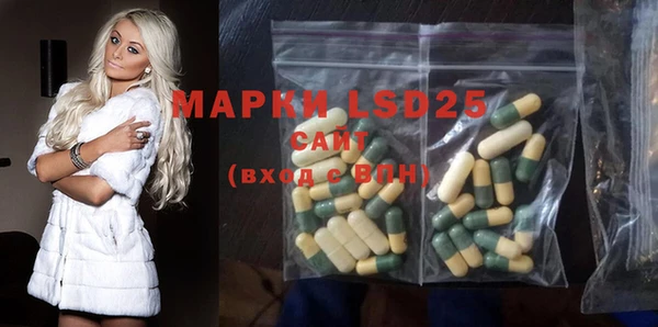 стафф Аркадак