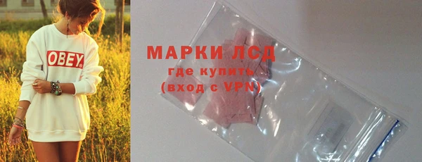 стафф Аркадак